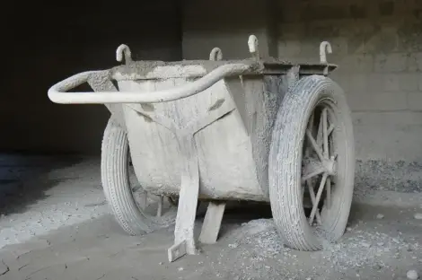 CF Foto Impression 75