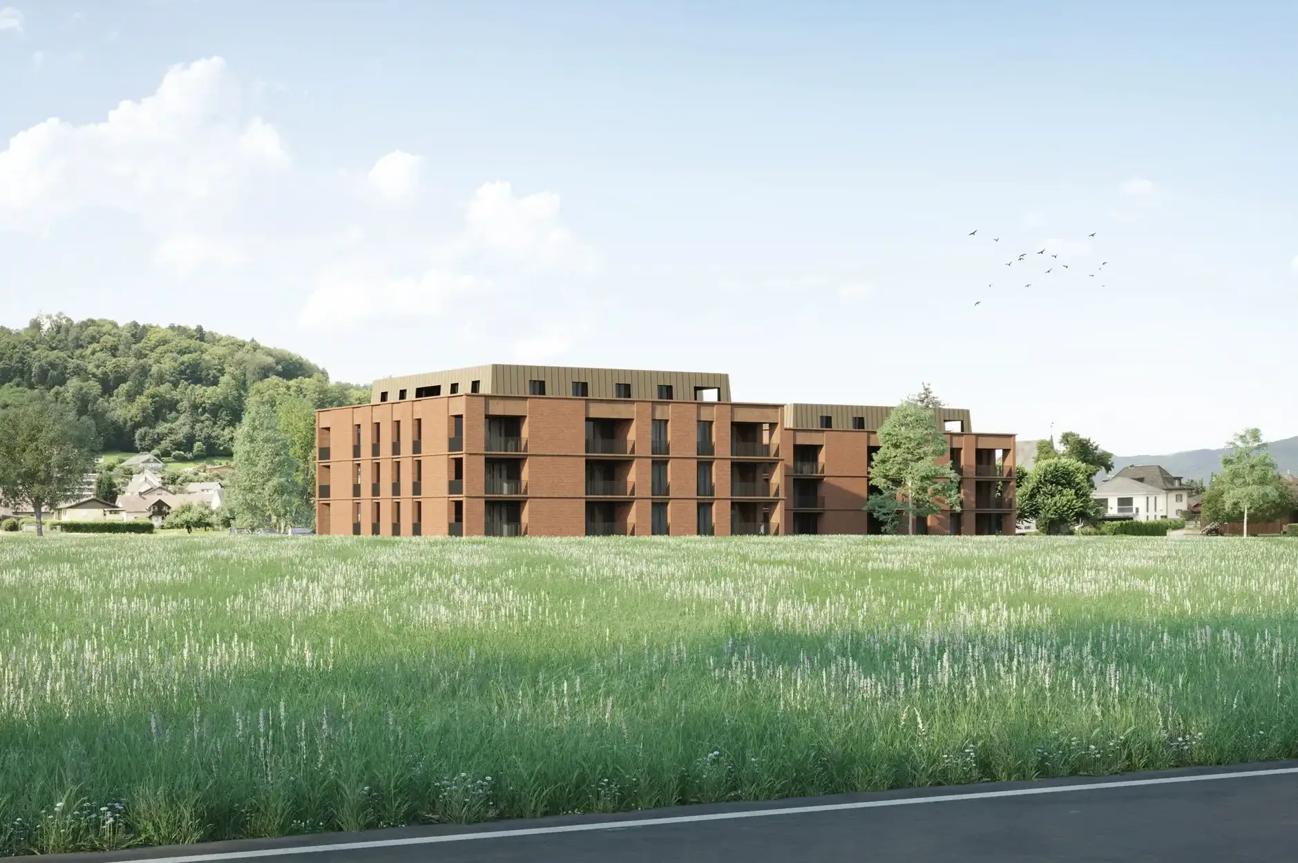 H31 D Visualisierung Aussen Wiese