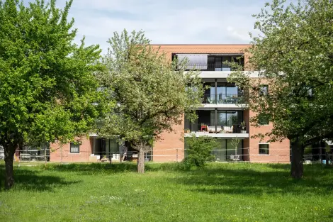 H37 Foto Aussen MFH Garten 03